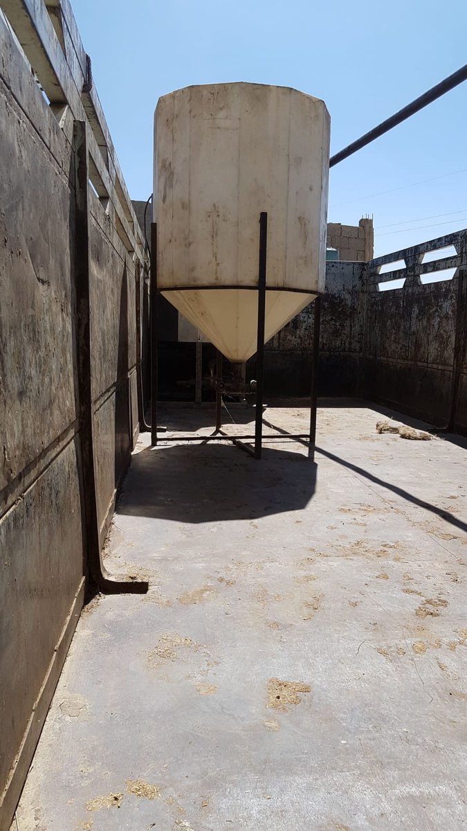 API_Energy's tweet image. 