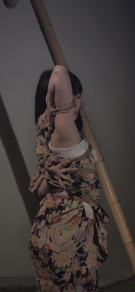 tukinowagamo's tweet photo. 先日、緊縛写真部に行ってまいりました。
人生初めての撮影会ということもあり、めちゃくちゃ緊張しましたが、
楽しかったのと何より緊縛の結び目や工程を見れて撮影できたのがなにより貴重な体験でしたたた
#緊縛写真部　#あいみ　モデル@__aimi__feti　#HajimeKinoko　緊縛@Shibarijp https://t.co/cVUHZ1jKHb
