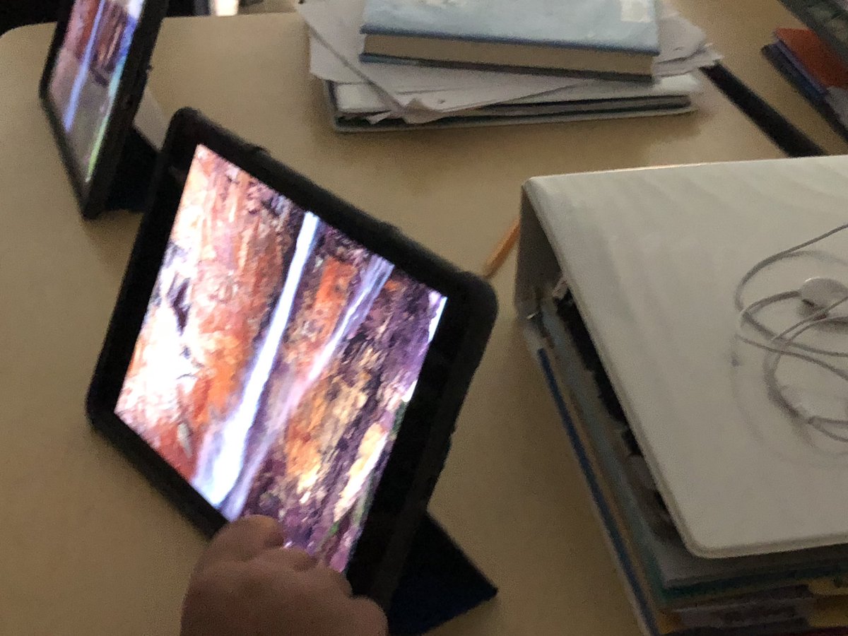 Stacey Mrazek tweet media