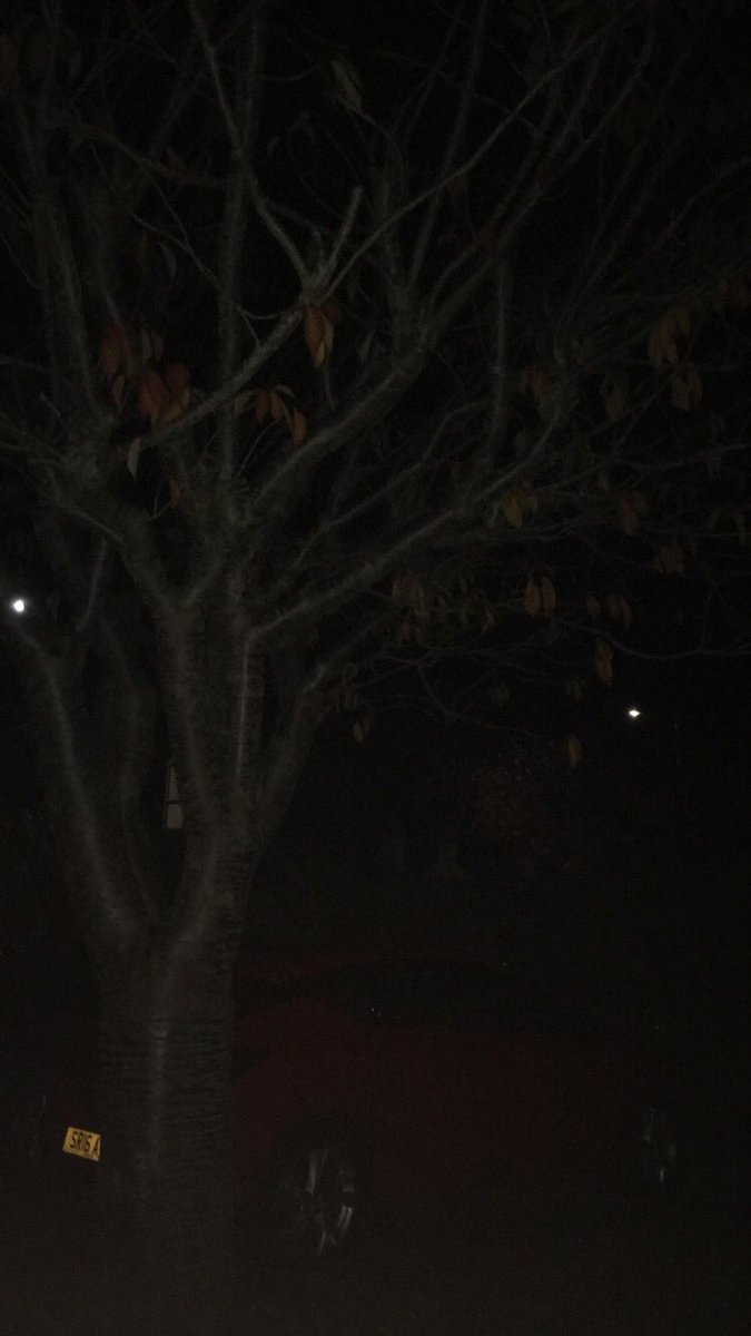 paige_mckk's tweet photo. super spoopy halloween #Run4Rock done! only have to walk 1 mile for @ukrockchallenge @RCUK_Ambassador ππ»ββοΈπβοΈπ» https://t.co/ie5OKPyb5F