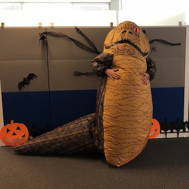 Feeling myself in the office today. https://t.co/zx6v5F3AWk