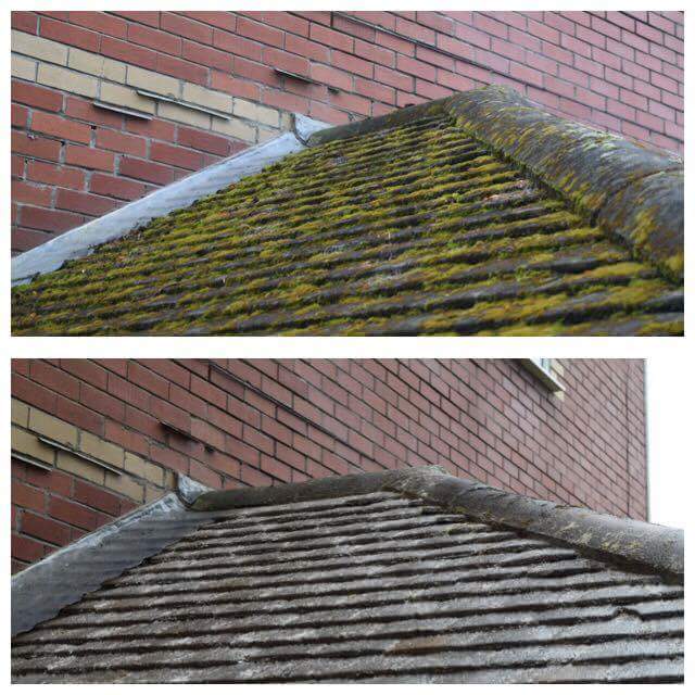 ClearCleanPlym's tweet image. Has the moss and algae on your roof become unsightly? We specialise in roof cleaning throughout Devon and Cornwall. We use specialist products to ensure your roof gets the best treatment possible. Contact us today on 0800 772 3502 or visit clearandcleanplymouth.co.uk