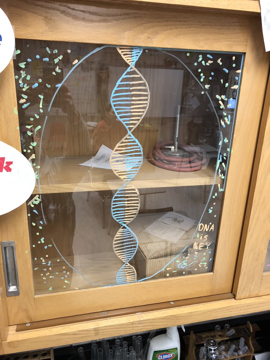 RothrocksBio's tweet photo. DNA is the Key To Life!!! Thanks Beth https://t.co/ZtT7vB0f2O