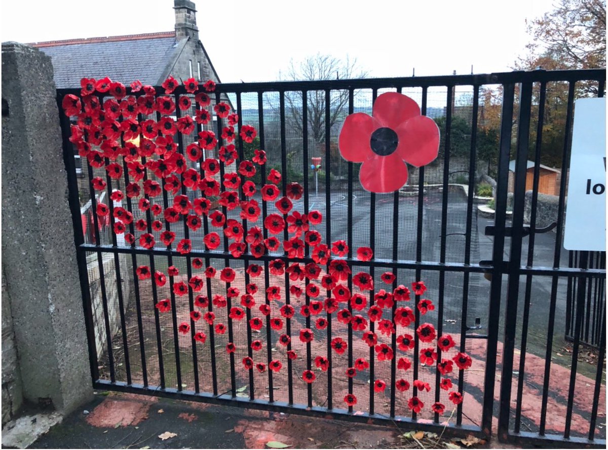 mickleyfs's tweet photo. Mrs Grevett and pupils at Little Stars have created an eye-catching poppy tribute @mickleyfs to mark 100 years since the end of World War One. They look amazing! #poppies #RemembranceDay #LestWeForget https://t.co/ceOdtTRHWf