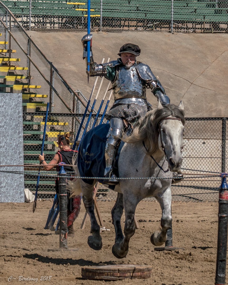 KnightsMayhem's tweet photo. Brooms are for Amateurs! This is how we do it at Knights of Mayhem, Happy Halloween. #knightsofmayhem #fullcontactjousting #warhorses #komnation https://t.co/2YYRlIbRYU
