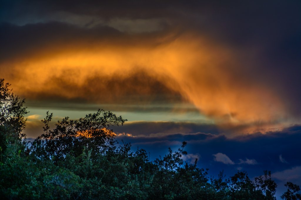 Happy #Halloween18 from #Marbella