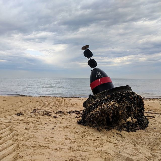 ajfisher's tweet image. Things you find when you go for a run along the beach in the morning.

#flotsam #randomobjects #marine #beach #melbourne ajf.io/2CSQs50