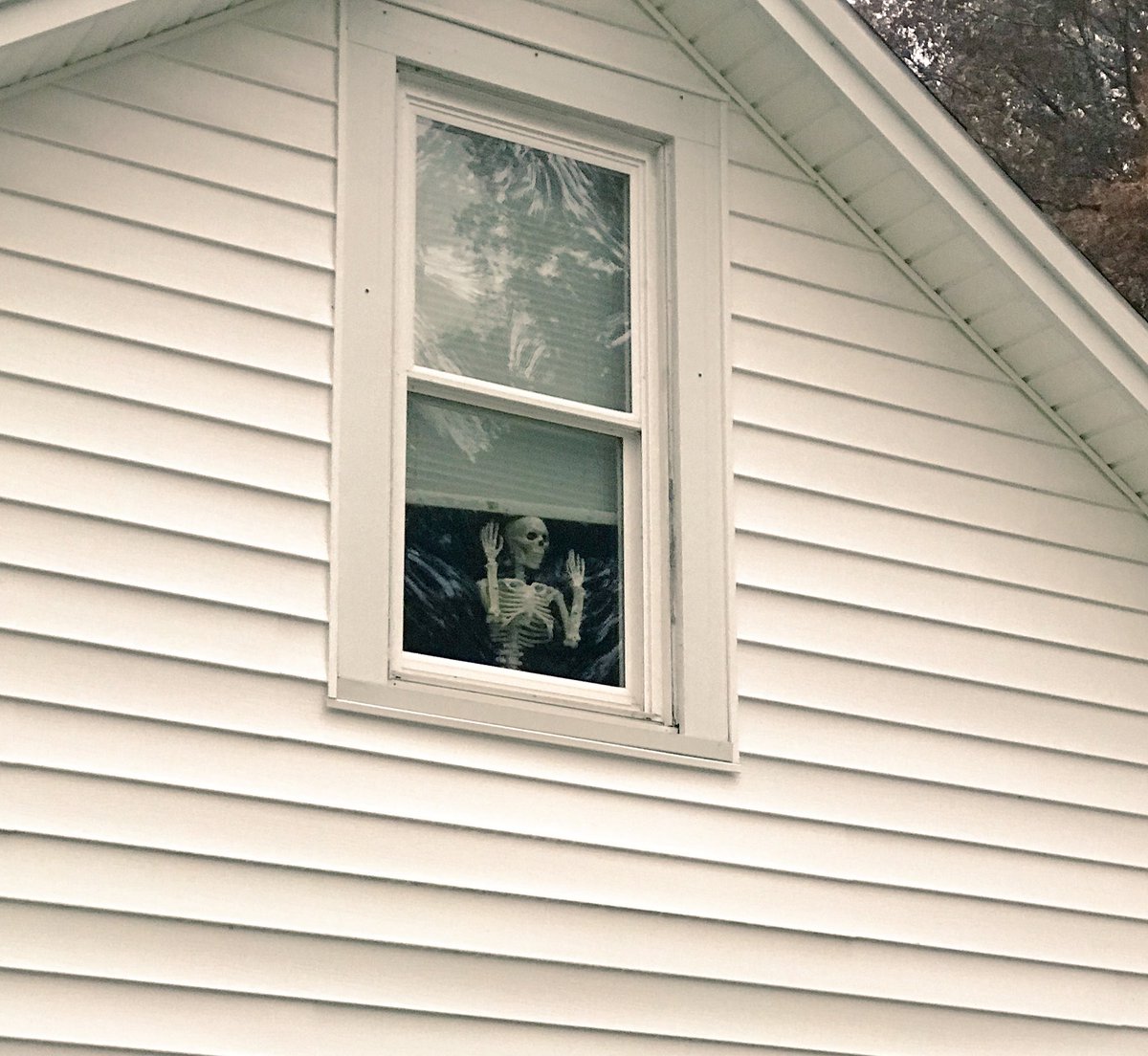 LucilleIsReal's tweet image. This is what happened to the last person who crossed me