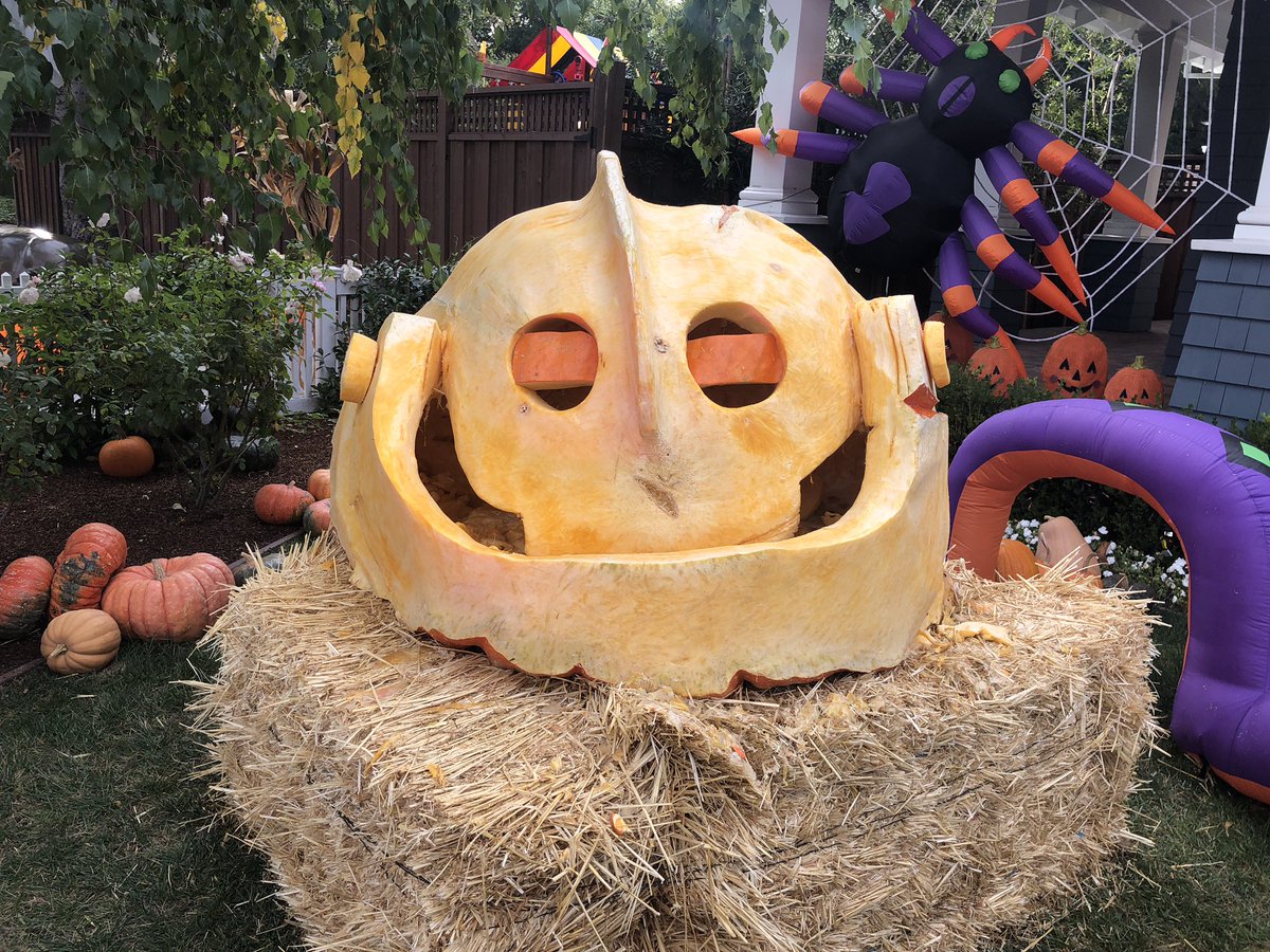marissamayer's tweet photo. Happy Halloween! https://t.co/f3UKqn4ZvO