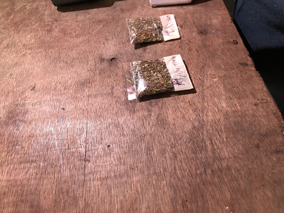 Download Cnn Philippines On Twitter Police Apprehended A 16 Year Old Boy At Manila North Cemetery He Was Caught Hiding Two Sachets Of Marijuana In His Armpit And Pants Carolynbonquin Undas2018 Https T Co 028ct78vmj