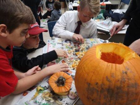 Mr_D_Admin's tweet photo. Pumpkin Chaos in 4/5 Finch...counting seeds after dealing with the good stuff! #halloweenlearning @TantallonSrElem https://t.co/PwtoKzr4ad