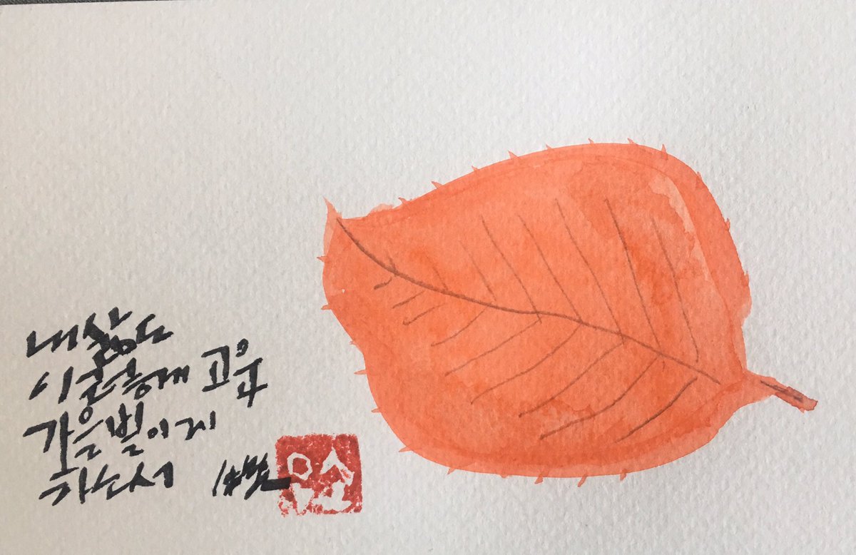 내삶도
이렇게 고운
가을 빛이게
하소서