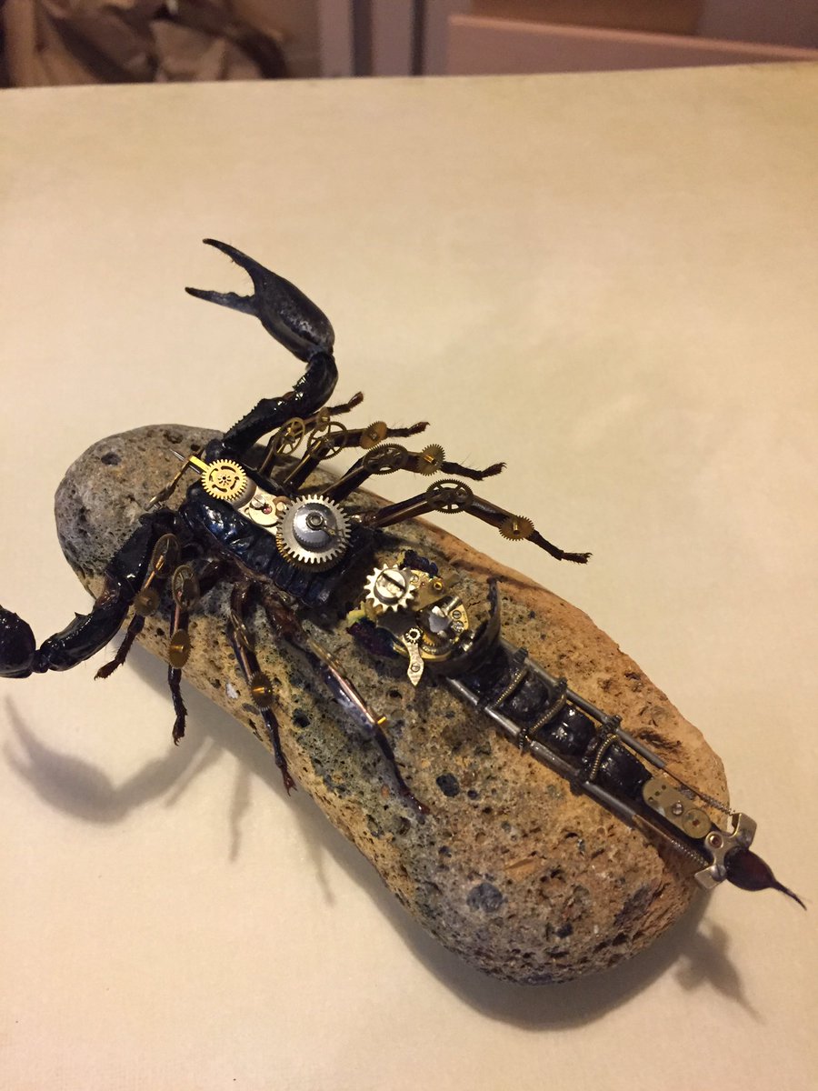 Redpudsey's tweet photo. @sarajcox Hallowe’en project. Just mechanising a scorpion to sell for charity https://t.co/VUqYrBKZPP