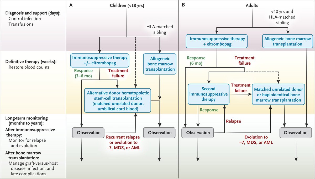 NEJM tweet media