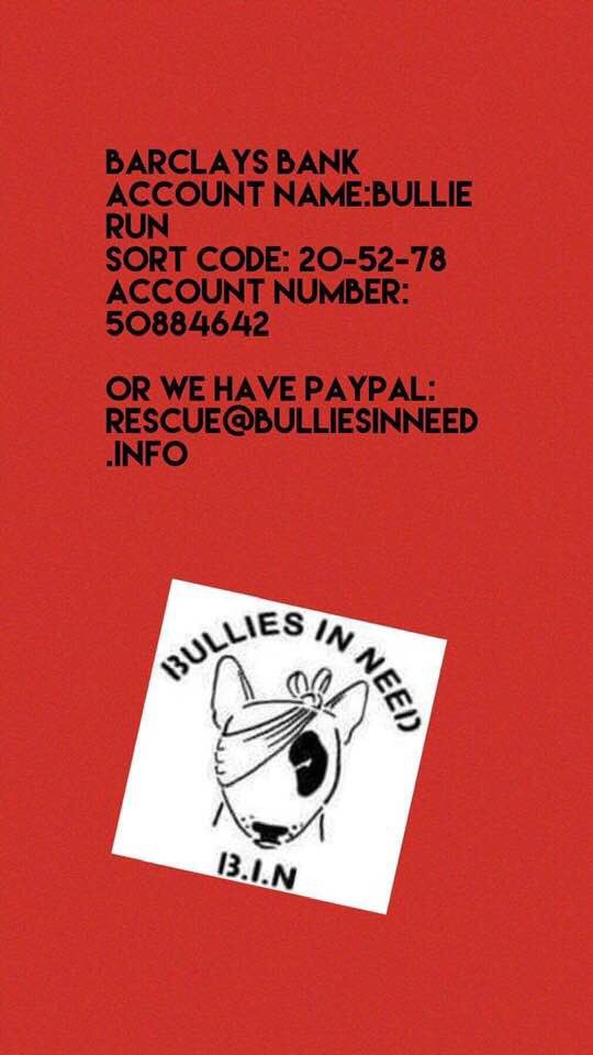 BulliesinNeedUK tweet media