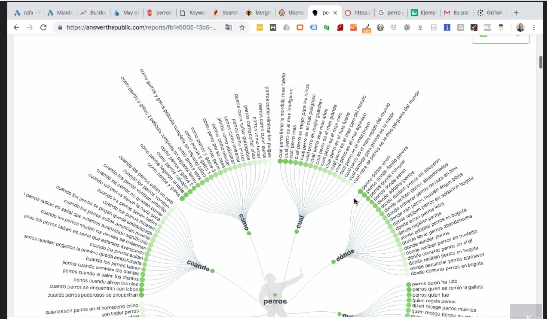 rafsos's tweet image. RT @JessicaQueroM: 🔎¿Utilizas la herramienta Answer the public para coger ideas para tu blog?

➡️Es gratuita y te dará muchas ideas sobre palabras clave qué la gente está buscando

#TrainingBlog con @rafsos