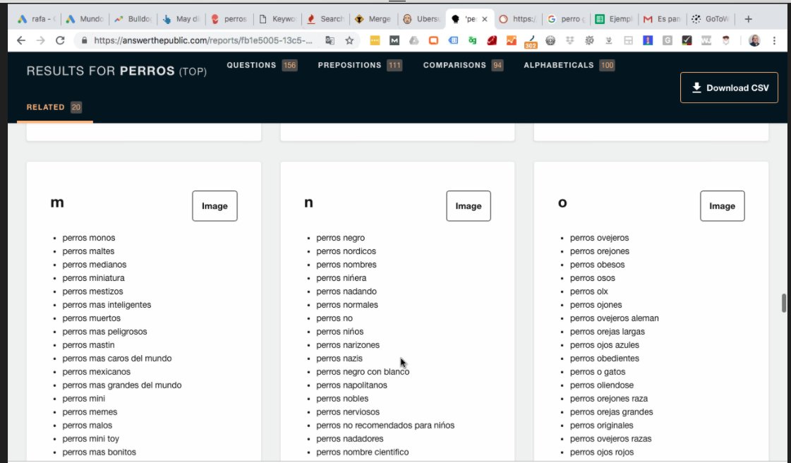 rafsos's tweet image. RT @JessicaQueroM: 🔎¿Utilizas la herramienta Answer the public para coger ideas para tu blog?

➡️Es gratuita y te dará muchas ideas sobre palabras clave qué la gente está buscando

#TrainingBlog con @rafsos