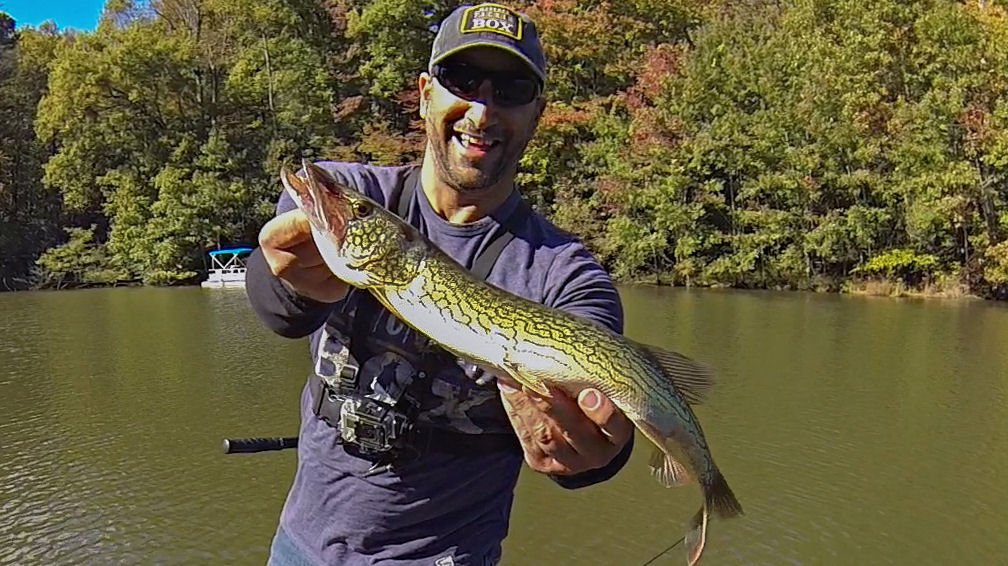 YTFISHINGVIDS's tweet photo. Fall Bass Fishing with my Mystery Tackle Box Pro Box!!!
Watch the video here-->https://t.co/5MkTJSWedG
#bassfishing #largemouth #largemouthbass #bass #fishing #catchandrelease #mysterytacklebox @MysteryTackleBx https://t.co/BS3cYHoUWG