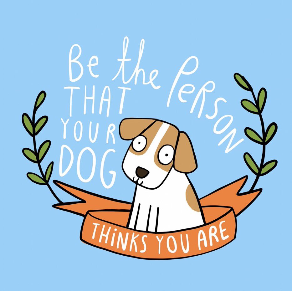 Jenn Bishara tweet media