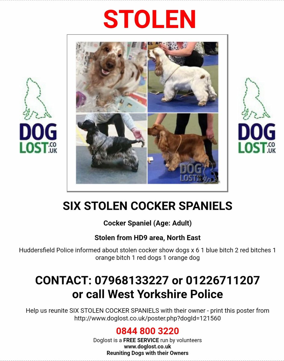 #findsixspaniels TWO SAFE HOME, ONE RAINBOW 🌈 BRIDGE 😨 THREE STILL TO FIND we can do it #HD9 area 
🆘🆘🆘