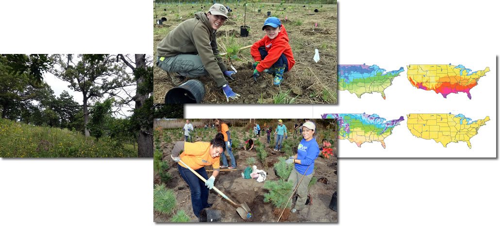 usfs_nrs's tweet photo. #InvasiveSpecies, changing #climate, removal of #fire from the landscape & stresses of urban conditions all take a toll on #ForestHealth. In #November we feature a scientist, research, a product & partnership devoted to helping #FosterResilientEcosystems
https://t.co/kp1vraZTuW https://t.co/Yu0MLCEQrE