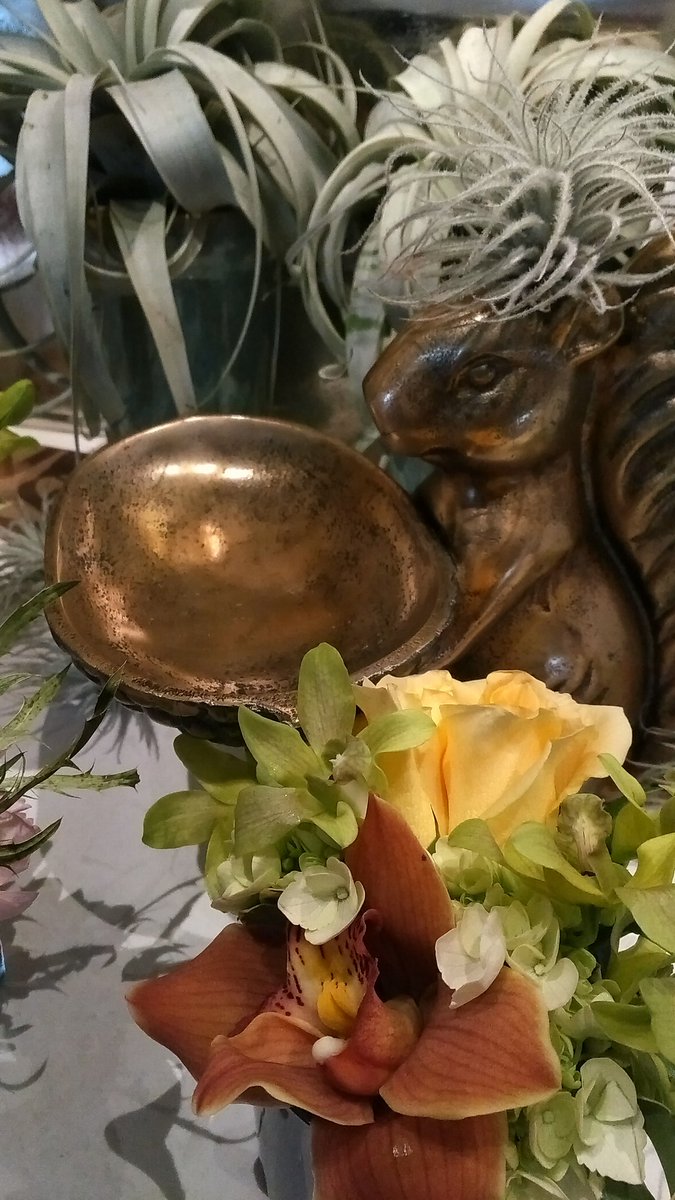 catherineknows's tweet photo. The shopping starts now @ManotickVillage 
@mvpetals https://t.co/Go3Kv1Jcau