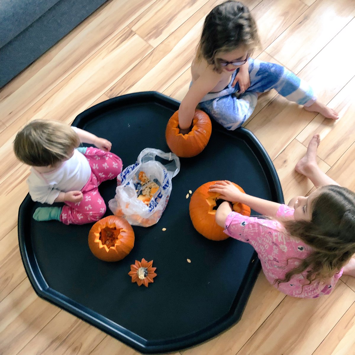 Tinker and Totsy (@tinkerandtotsy) on Twitter photo Pumpkin carving #yuck #pumpkinguts #gross #happyhalloween Pumpkin carving #yuck #pumpkinguts #gross #happyhalloween