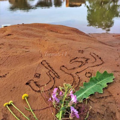 #صورة_جديدة_للملف_الشخصي