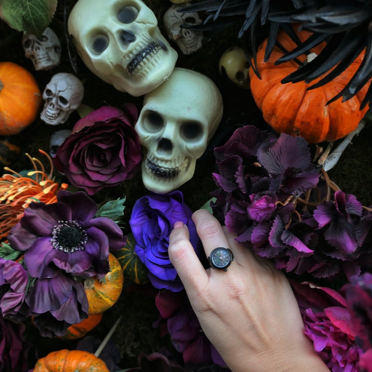decaronofficial's tweet photo. #HappyHalloween https://t.co/ASD21yAlrW