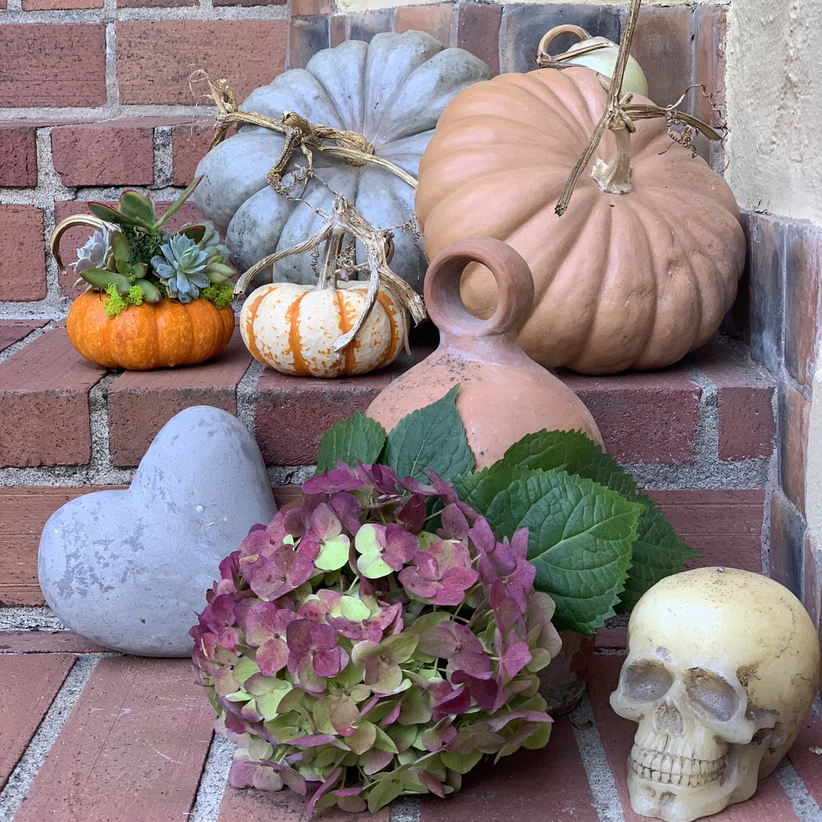 BoxwoodVine's tweet photo. Happy Halloween #trickortreat https://t.co/xt3mPPHy8B