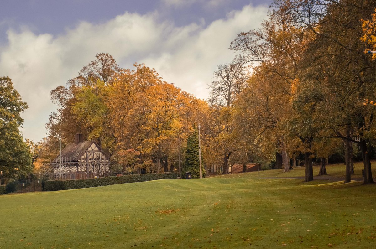 petedaviesphoto's tweet photo. Golden autumn 🍂 
Golden Lion 🦁 
#fogl #cannonhillpark #autumn @FOG_Lion https://t.co/PxZwyn64XE