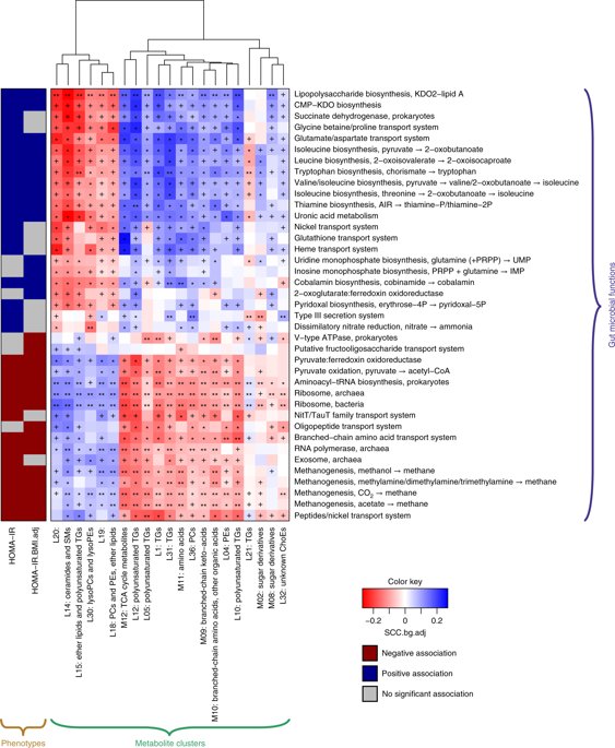BiswapriyaMisra's tweet photo. A computational #framework to #integrate high-throughput ‘#omics’ #datasets for the identification of potential mechanistic links: https://t.co/hH8D1gdD8G IN @NatureProtocols from @matejoresic 

#multiomics #integratedomics #polyomics #omics #metabolomics #R #rstats https://t.co/NKbhjTZkfi