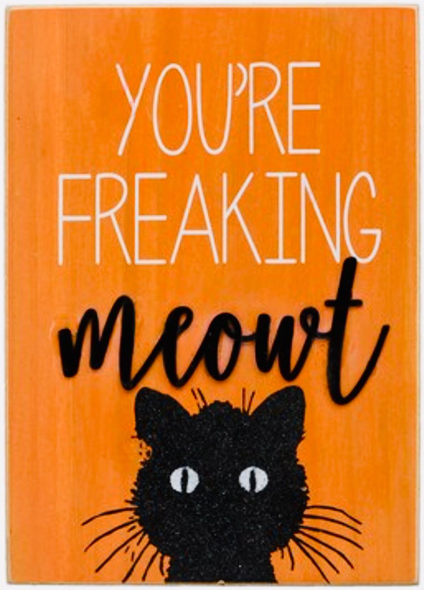 LieselKopp's tweet photo. #HappyHalloween!
ππΈβ οΈπ»
#blackcat #freakingmeowt https://t.co/imuJa4zNi0
