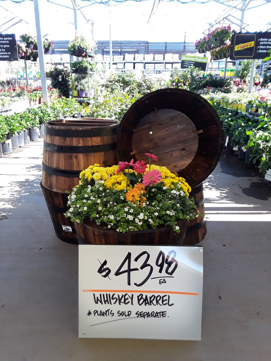 samantha_serr's tweet photo. Added some fresh color to the whiskey barrels!! #recognize6874 #gardenseason @KyleHd6874 @JoseSasm6874 @AndrewRivas315 @ScottPerez6874 https://t.co/VWizzaRhSV