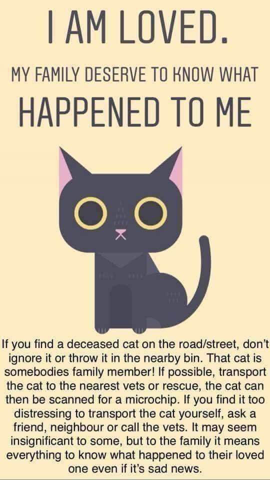 Lauren Dewar (@laurenabigail95) on Twitter photo 