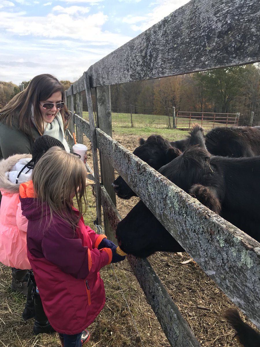 MrsMentnech's tweet photo. 1st Grade Field Trip to Pierson’s Farm today! My kids had a blast! #MonticelloRocks https://t.co/ehxCd5vO24