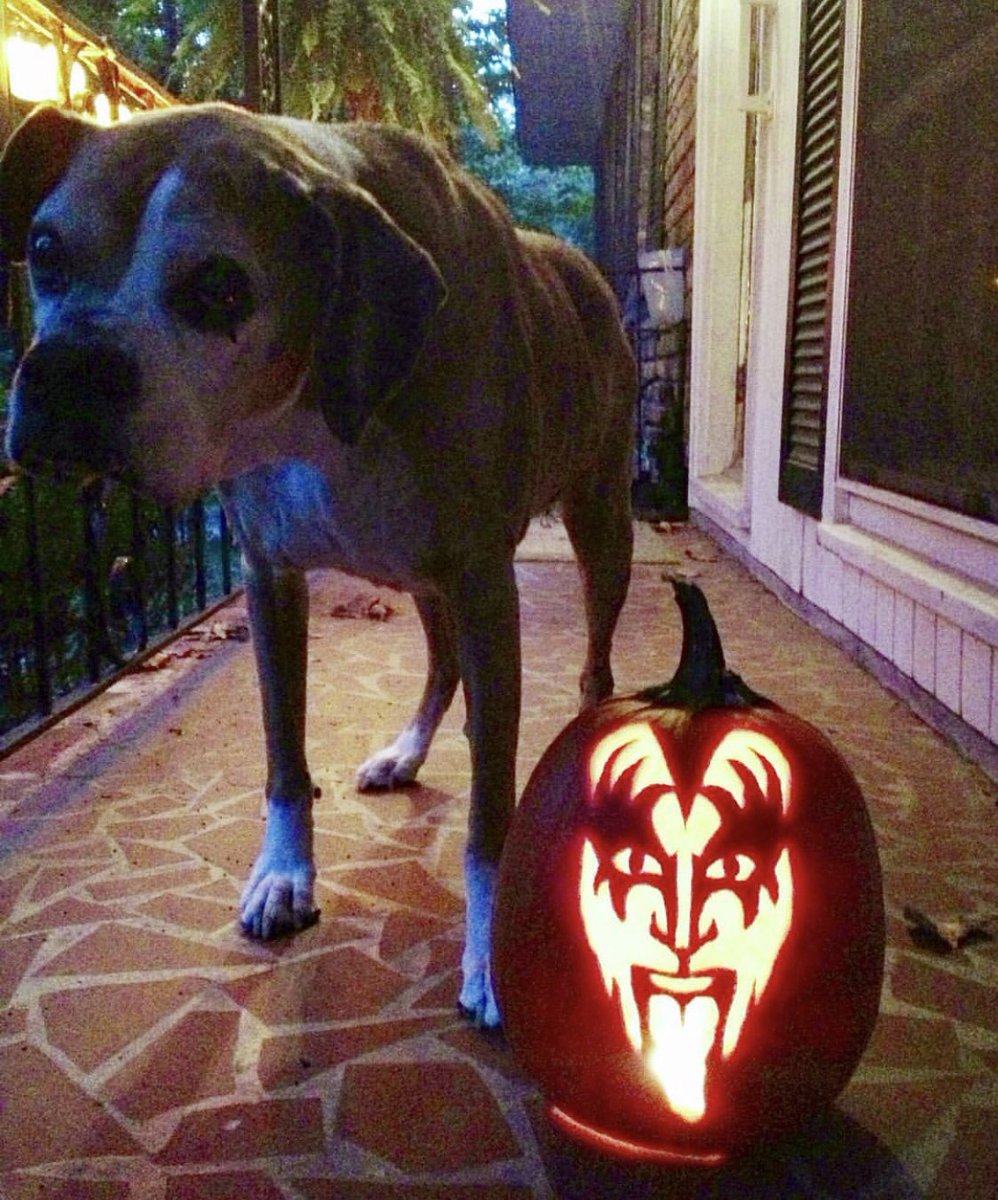 #KISSARMY rocks Halloween! Presale for End Of The Road ends tomorrow at 10pm. Kissonline.com for all info