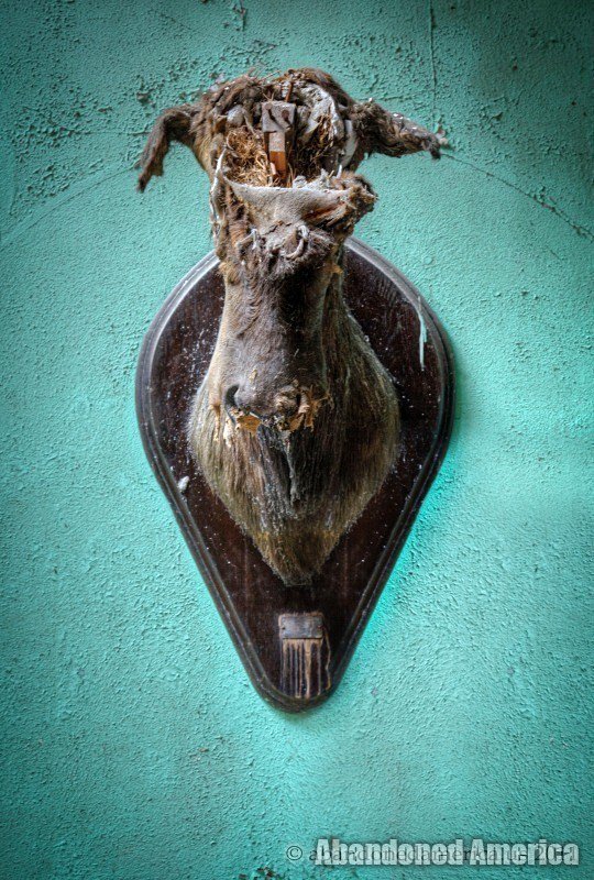 5) While exploring a very dark and dilapidated abandoned Elks Lodge by myself, I found a large ballroom at the top. A single shaft of sunlight was coming through the roof on the far end... onto this rotting taxidermied elk head.  http://www.abandonedamerica.us/new-castle-elks-lodge