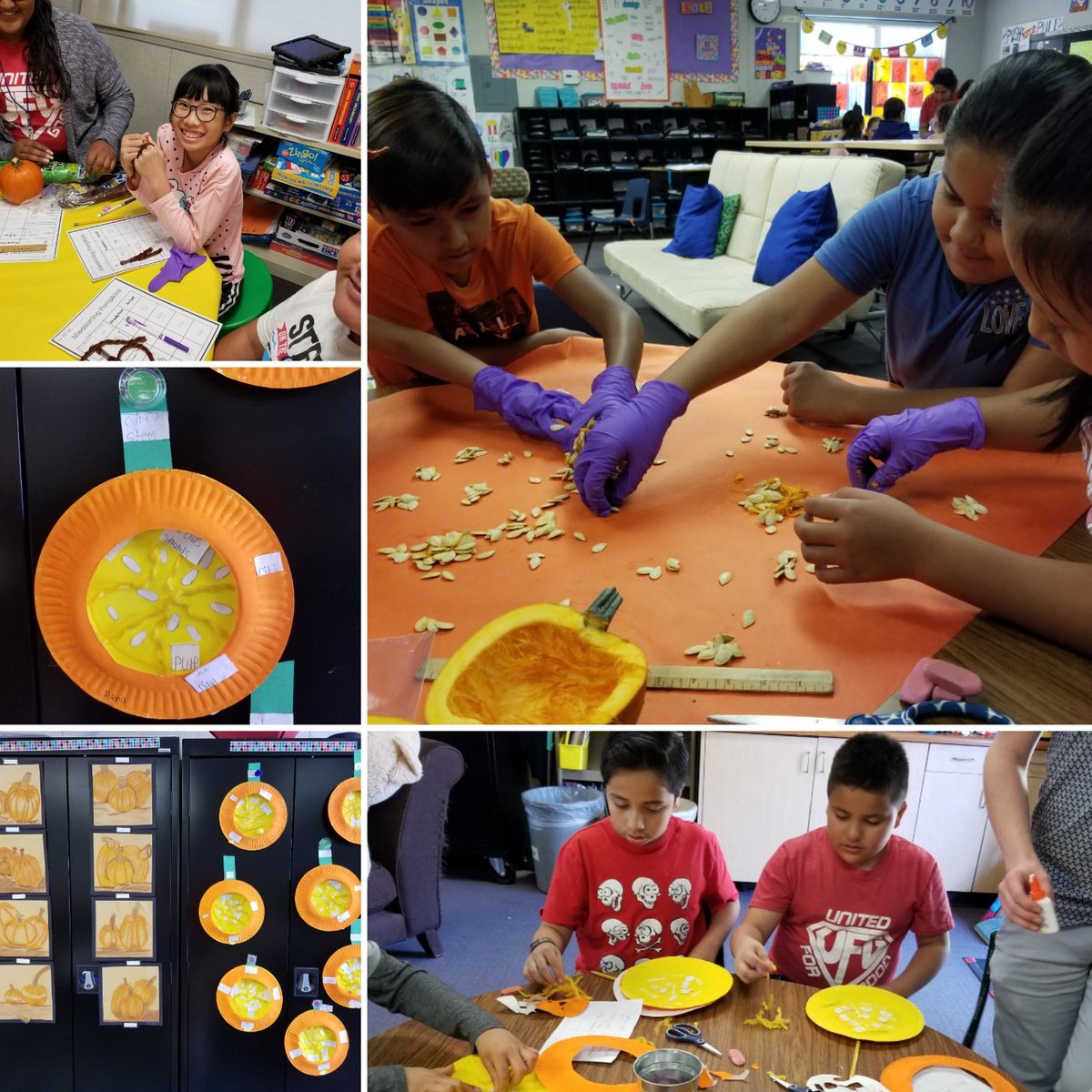 LoveMsOrtega's tweet photo. Newcomers enjoyed investigating pumpkins today! #NationalPumpkinDay #learningisfun #gardenelementaryk6 https://t.co/hCqjxetYdg