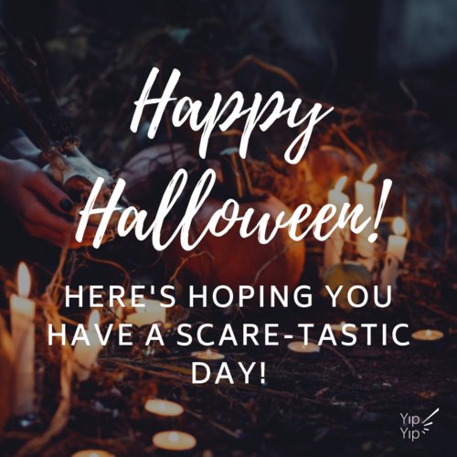 Happy Halloween from everyone here at Team Yip Yip!