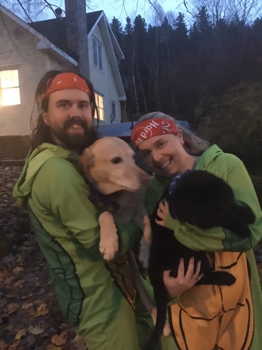 MotherofPups's tweet image. Now we are FOUR turtles. #halfshell #turtlepower