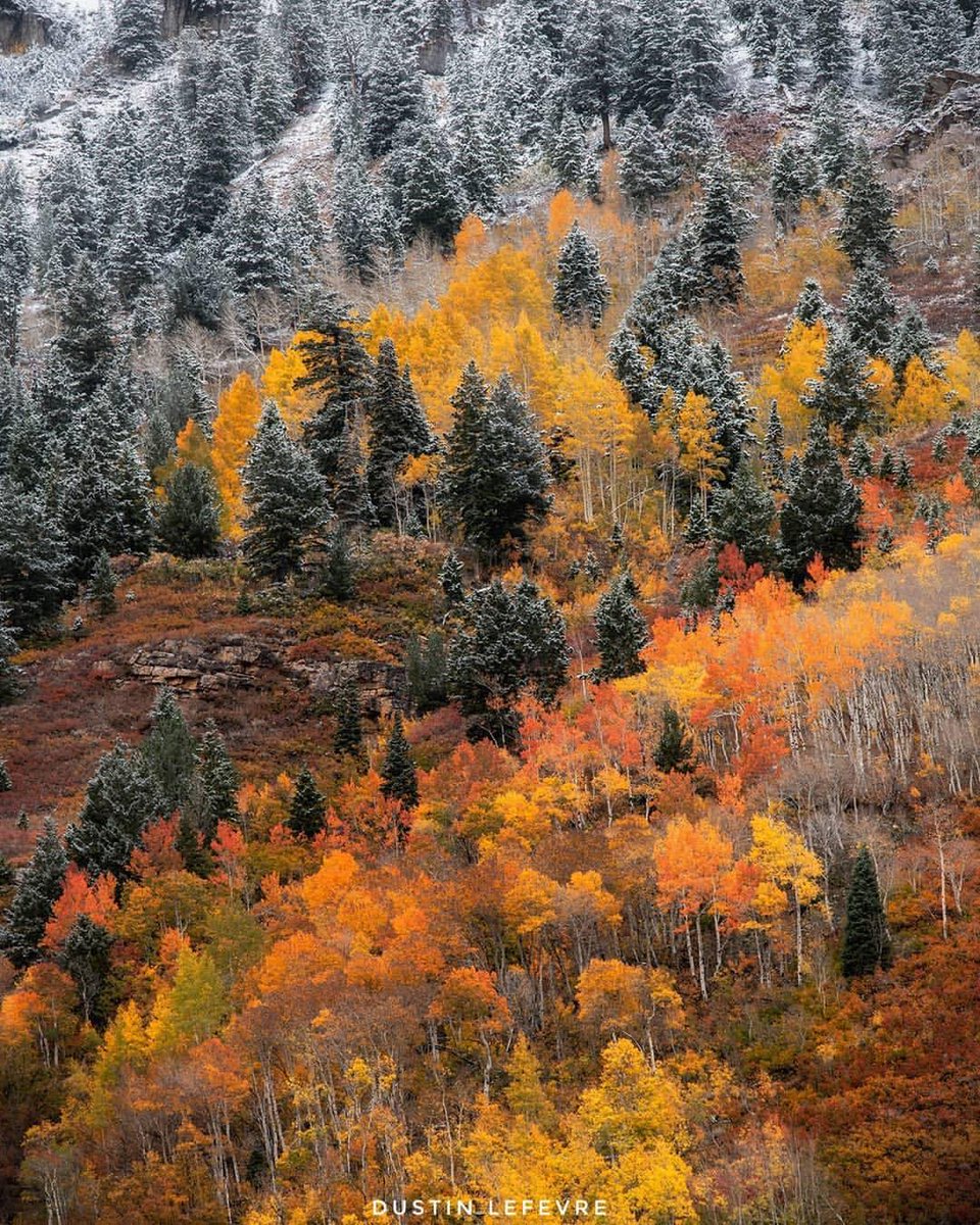 TheSkiCity's tweet photo. It's "fwinter" time in the city ❄️🍁#HappyHalloween 
⠀⠀⠀⠀⠀⠀⠀⠀⠀
📷 IG: @dustinlefevre #skicity #visitsaltlake #saltlake #slc #fallmeetswinter https://t.co/BvY1RM72QC