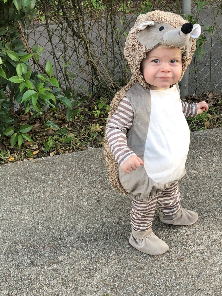 KayceJay1989's tweet photo. Halloween costume inspired by Hedge Hog by Ashlyn Anstee. 🦔❤️#PenguinKidsCostumeContest2018 https://t.co/GLBmFya6Wy