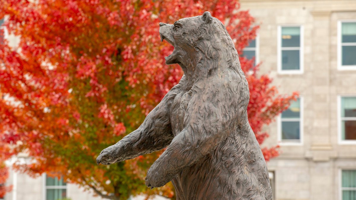 MissouriState tweet picture