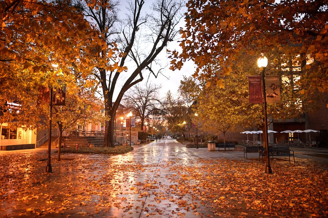FixAutoChico's tweet photo. We hope everyone is having a wonderful #Halloween! Please be extra careful when driving to watch out for #TrickorTreaters or #partygoers. If you're a party-goer yourself, have a designated driver set up before-hand and #nevertextanddrive! 👻🎃💀
Instagram by chicostate.
#FixAuto https://t.co/3s0Bdg2EOO