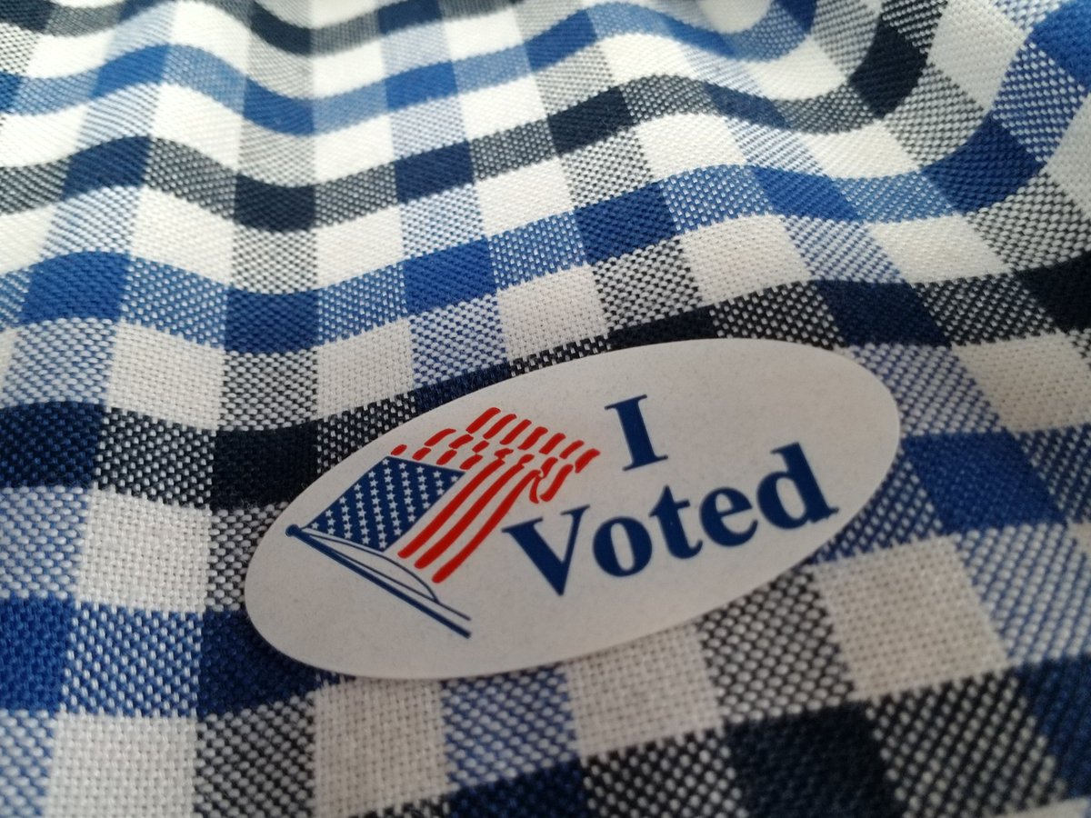 Texas_Taxpayer's tweet photo. This Halloween costume scares most politicians.  It's available for free until November 6th at your county's polling location. https://t.co/V9aiv5QU9e