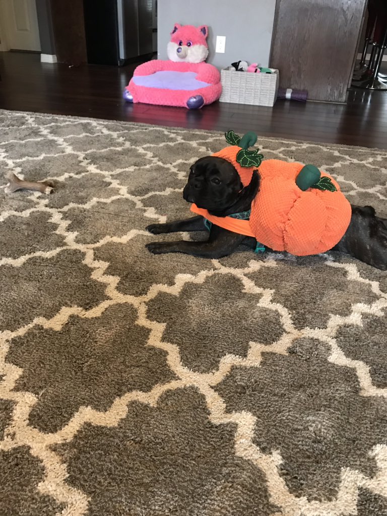 Happy Halloween 🎃👻 to all our Taco Addict Friends 🌮🌯🥙 Stay safe and warm tonight