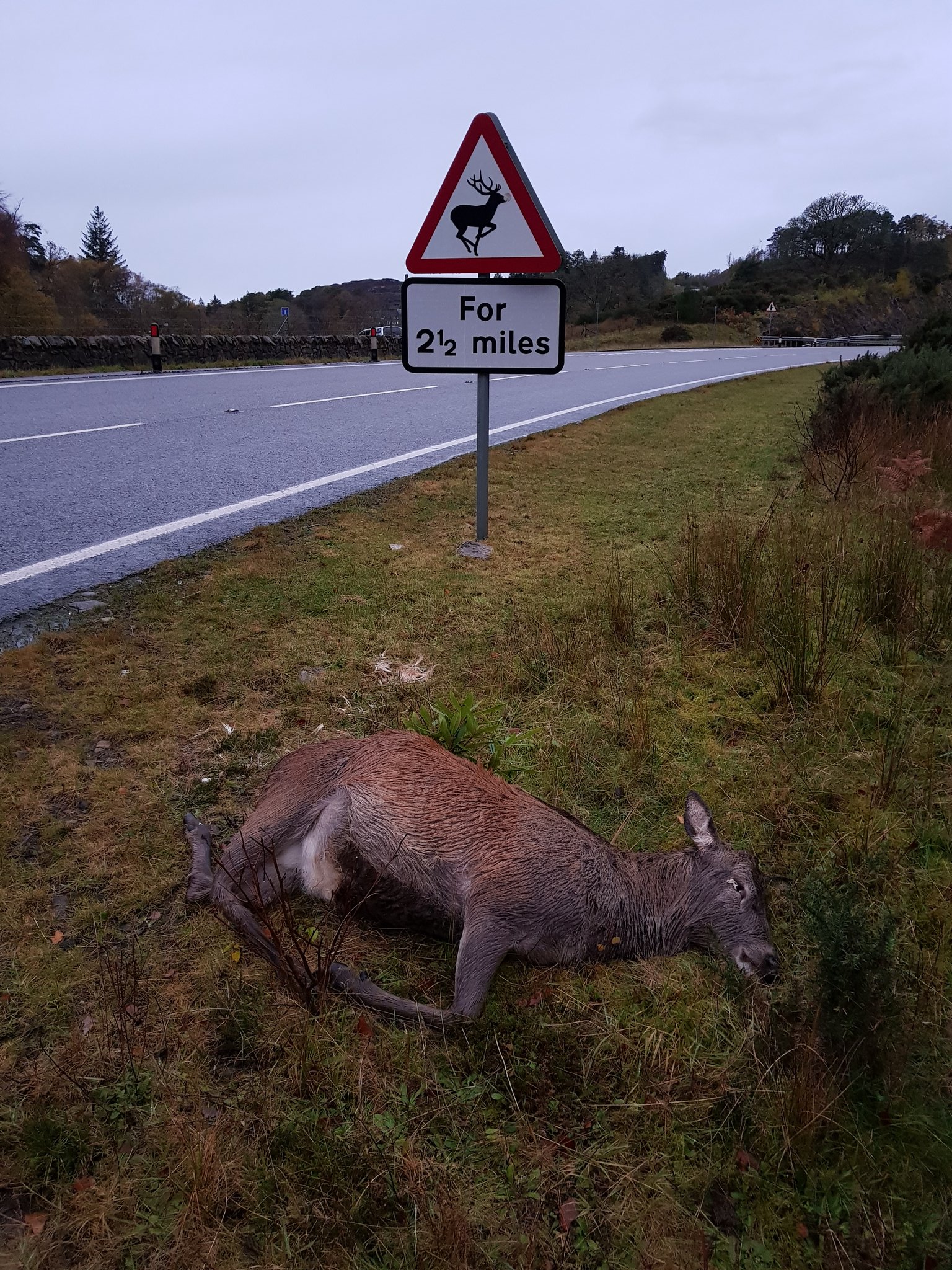 Justin Nugent on Twitter "GWhittonPhoto Sounds scary Greg... I think