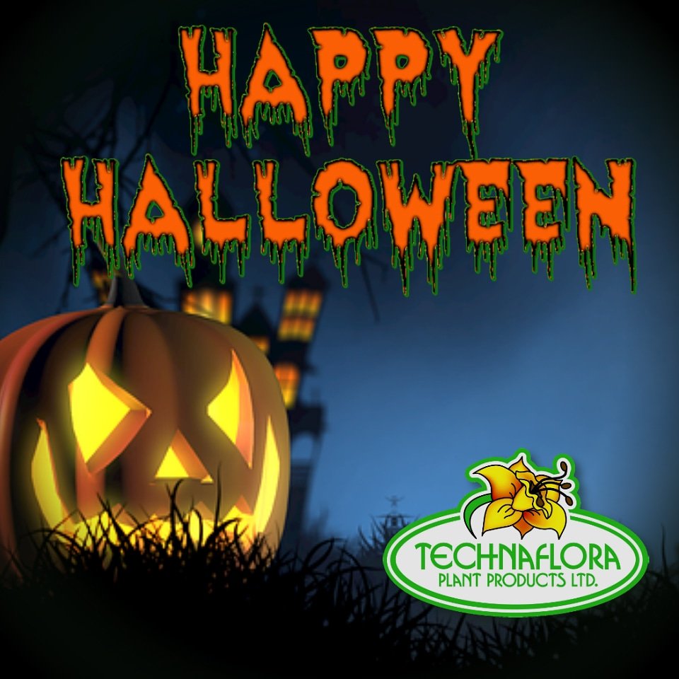 How do you repair a broken jack o' lantern? 
Use a pumpkin patch!

Technaflora Plant Products wishes everyone a very fun and safe halloween 🎃

#hydroponics #4everythingUgrow #technaflora #outdoorgardening #indoorgardening #BCNutrients #growhealthyplants
#HappyHalloween2018
