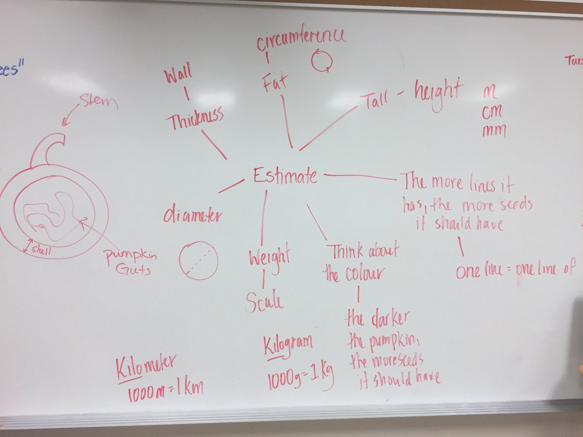 Learning about estimation strategies and mathematical communication with pumpkins! Grade sixes are really “digging” it! I wonder if their strategies work with other types of squash? #rvsnumeracy <a href="/EastLakeRVS/">East Lake School</a>